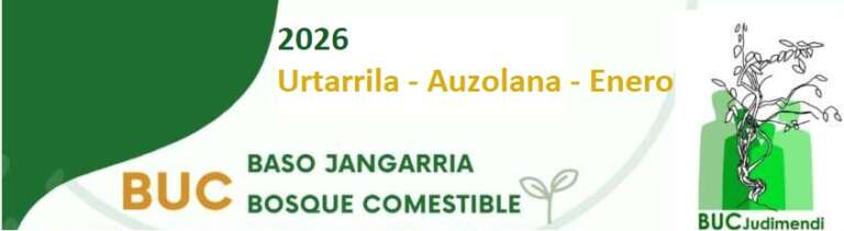 Auzolana BUC Judimendi