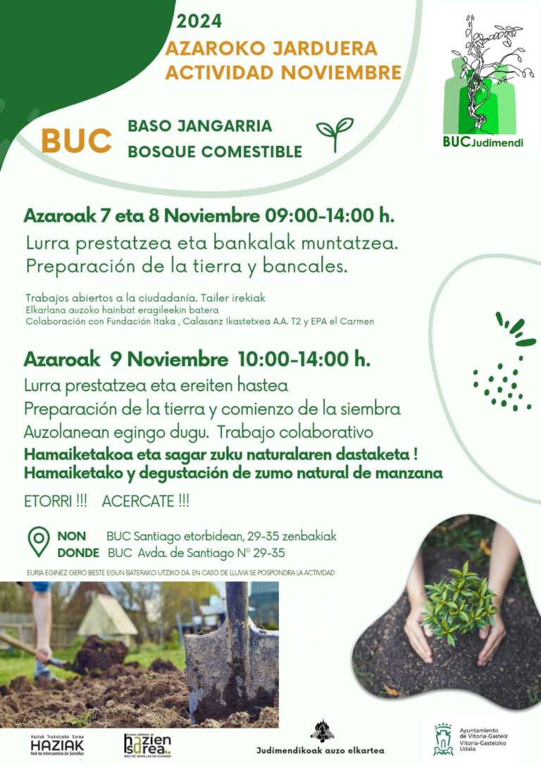 BUC-Azaroko jarduera / BUC-Actividad de noviembre