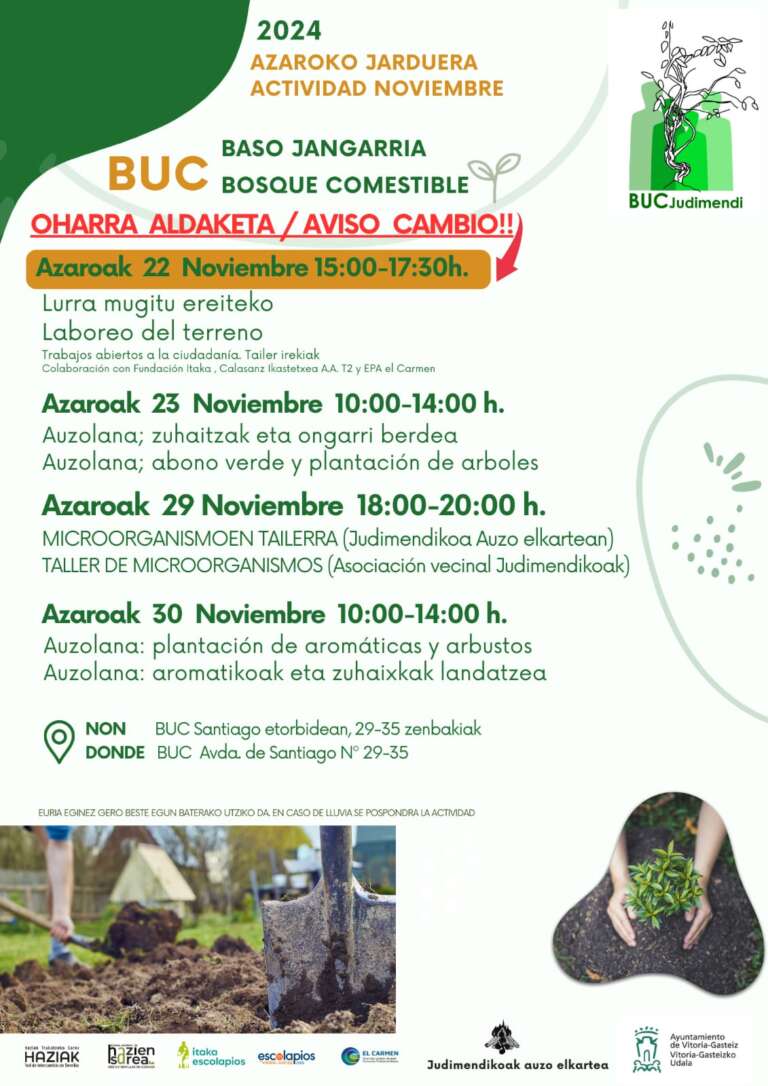 BUC azaroko jarduera gehiago/ más actividades en noviembre